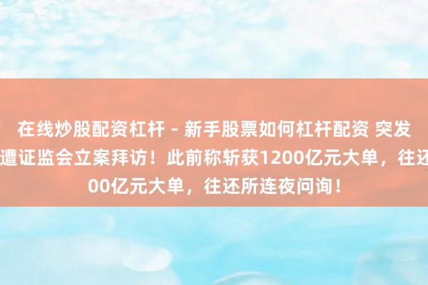 在线炒股配资杠杆 - 新手股票如何杠杆配资 突发！688005，遭证监会立案拜访！此前称斩获1200亿元大单，往还所连夜问询！