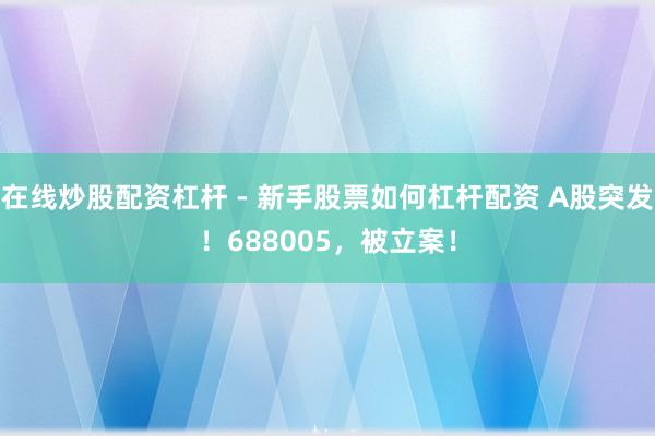 在线炒股配资杠杆 - 新手股票如何杠杆配资 A股突发！688005，被立案！